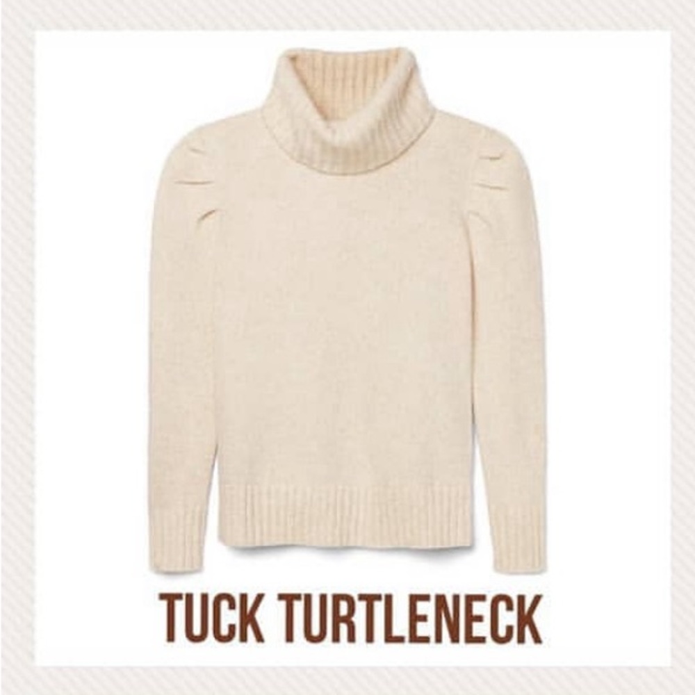 Cabi Tick Turtleneck (style 3889)